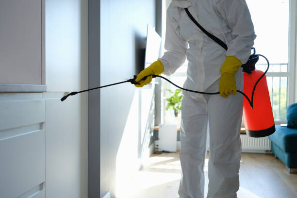 Best Crawl Space Mold Removal  in Keewatin, MN