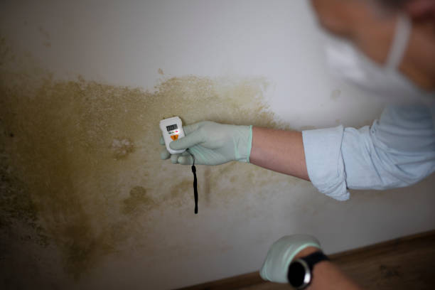 Water Damage Restoration in Keewatin, MN